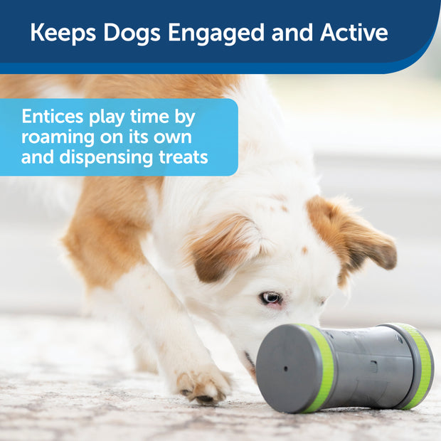 Pet Supplies : Monotre Dog Treat Ball, Interactive Dog Toys Treat
