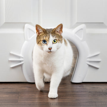 Cat Corridor™ Interior Pet Door