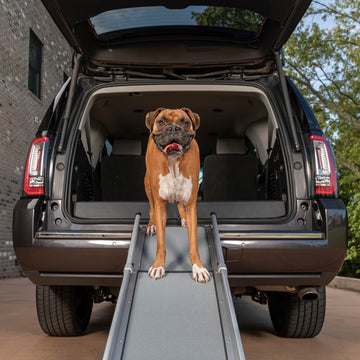 SolvitHappy Ride Dog Hitch Step & Reviews