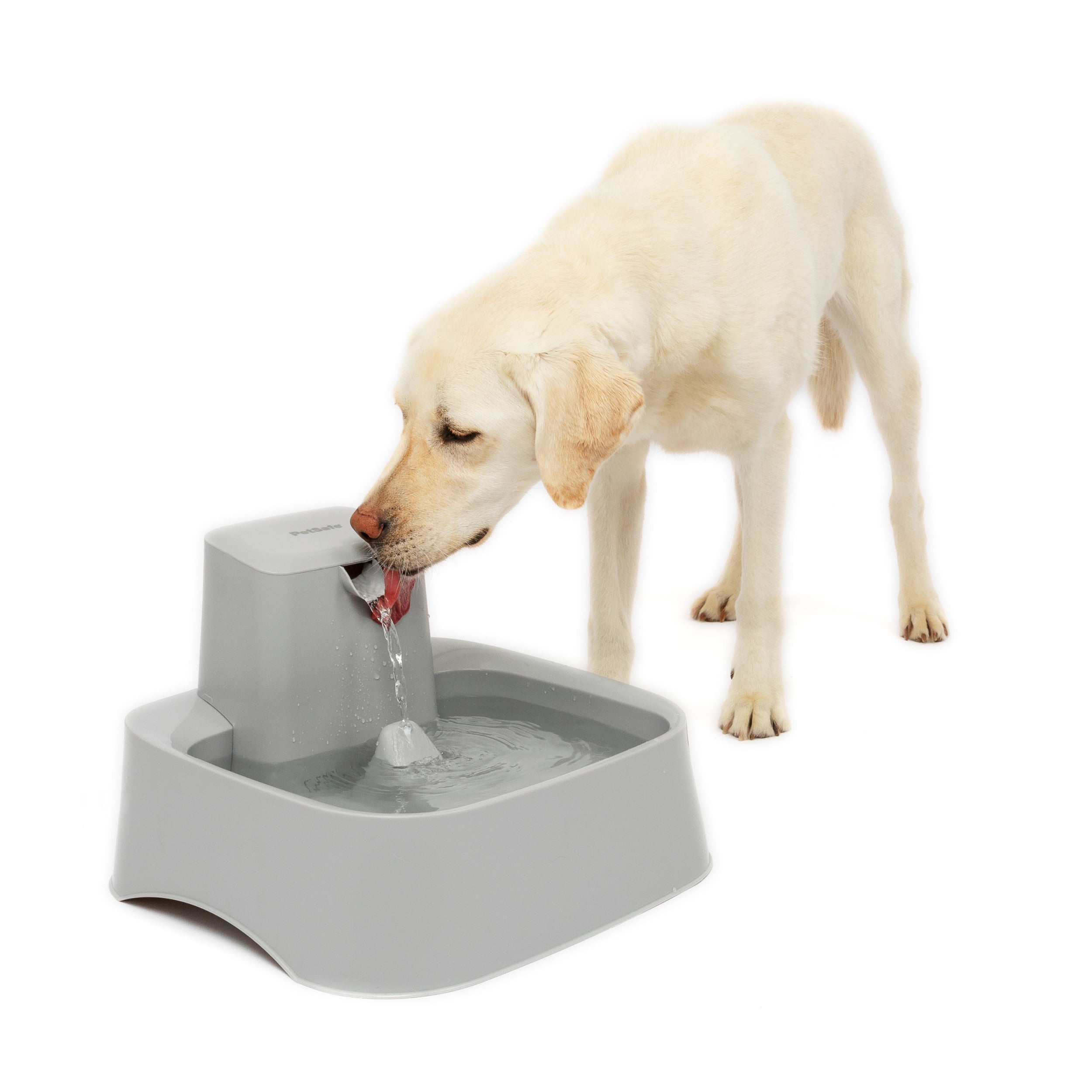 3 Gallons Extra Large Dog Water Bowl for Large Dogs, Big Dog Water Bowl  High