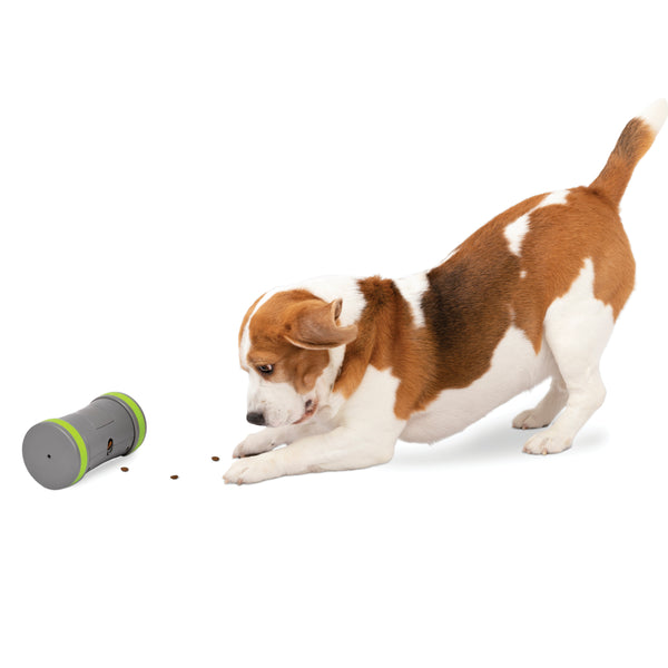 Automatic Treat Dispensing Dog Toys, Dog Treat Dispenser with Dog