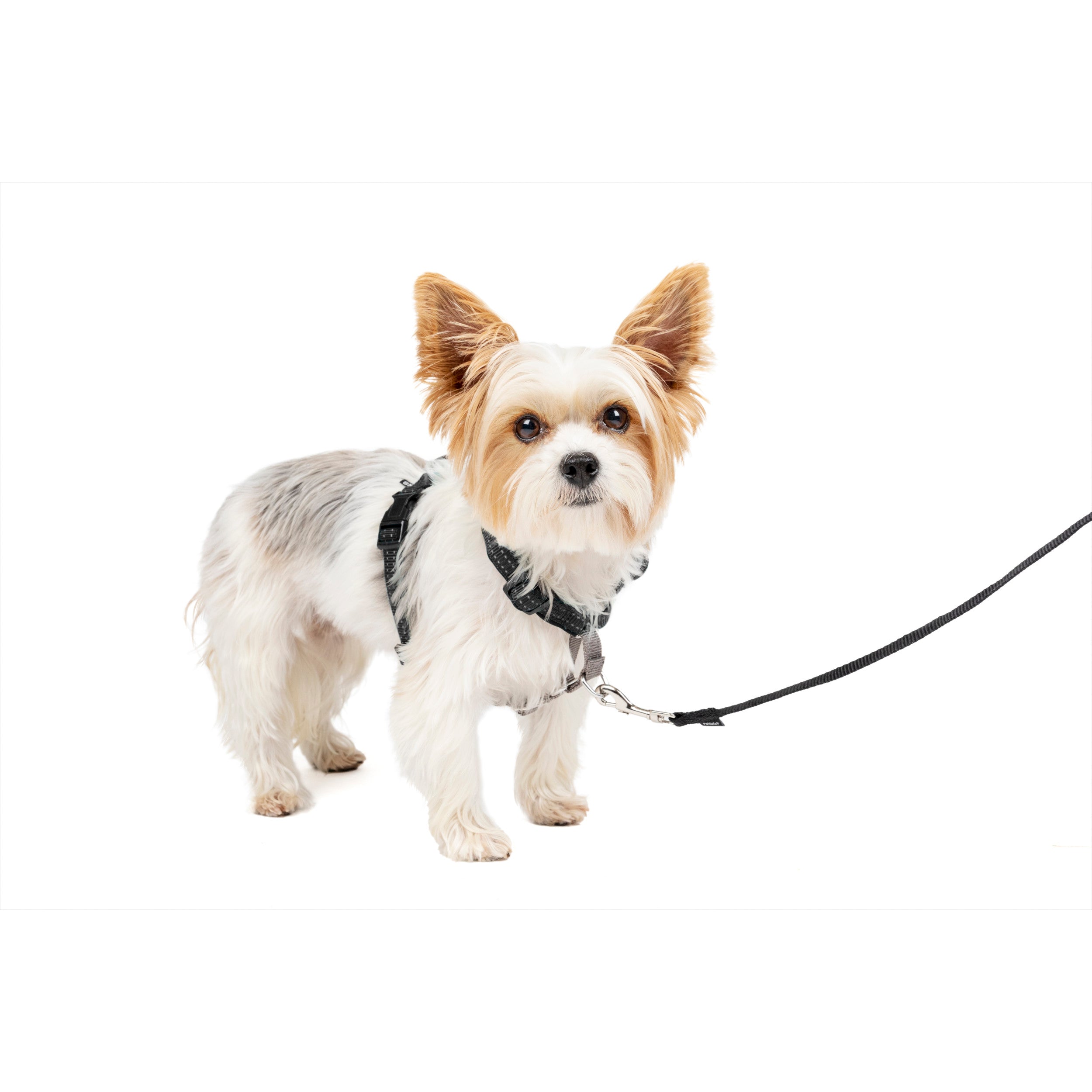 Dog Leash, Pet Harness Dog Leash, Pet Dog Chest And Back Set, Pet
