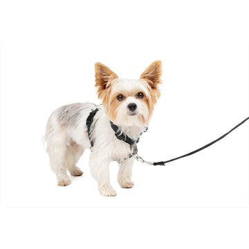 12+ Easy Sport Dog Harness