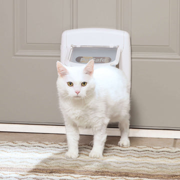 4-Way Locking Cat Door with Tunnel