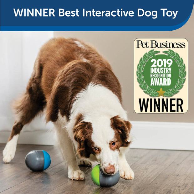 Smart Interactive Dog Balls, Remote Control Dog Chew Toy Ball for  Aggressive Chewers, 4 Hours Running