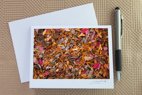 A photo greeting card featuring fall photo 'Confetti' created by Laura Cook of Vision Photography
