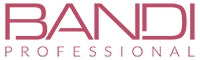 BANDI Professional logo