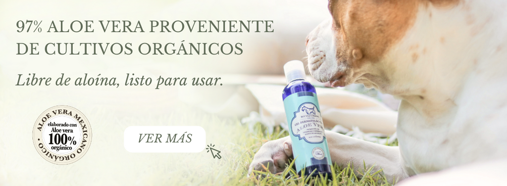 GEL DE ALOE VERA PARA MASCOTAS