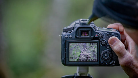 Cámara Profesional Canon EOS 6D Mark II - BIOWEB® Colombia