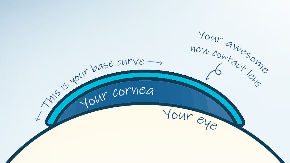 what-is-a-contact-lens-base-curve-and-how-does-it-affect-you
