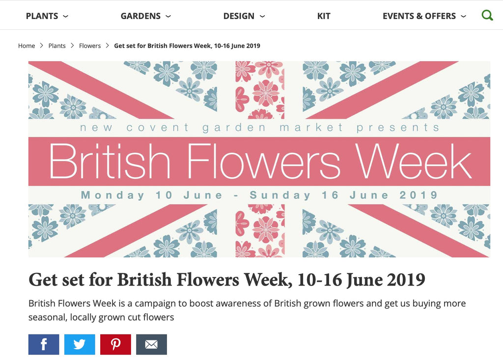 British Flowers Week Website June 2019