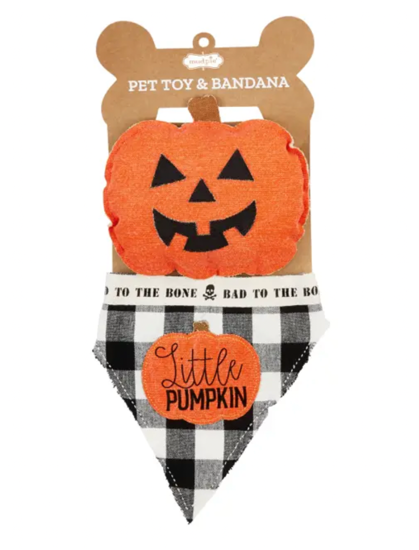 Halloween Pet & Bandana Set