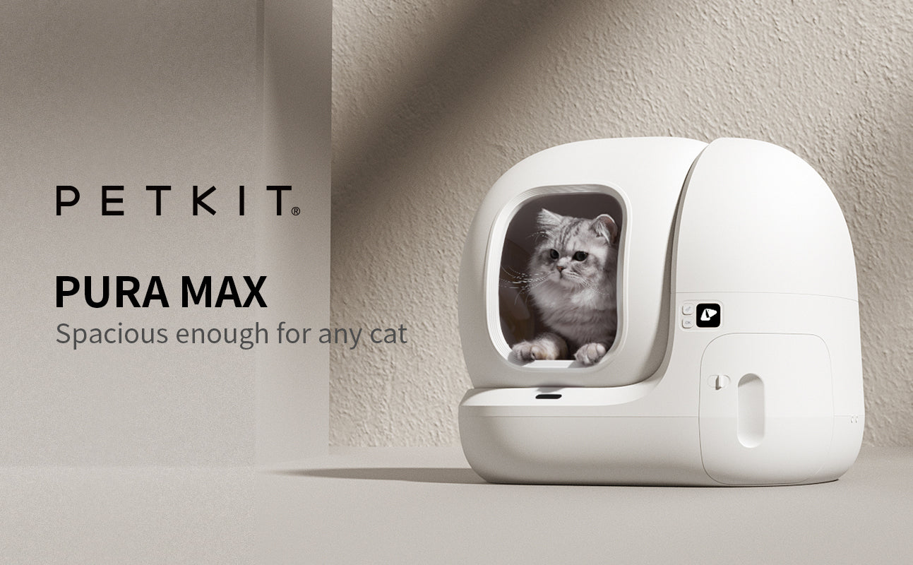 Discover the Magic of PETKIT PURA MAX