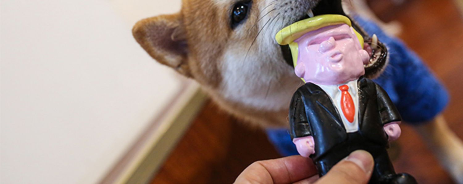 https://pawsclub.co.nz/products/qmonster-trump-celebrity-dog-squeaky-toy