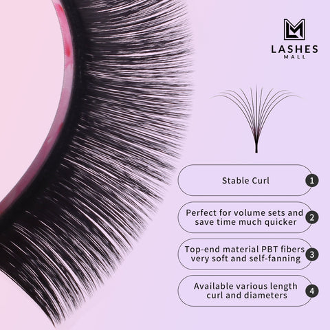 D Curl Easy Fan Lashes |Lashesmall