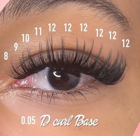 Volume Lashes D Curl Lash Extensions|Lashesmall