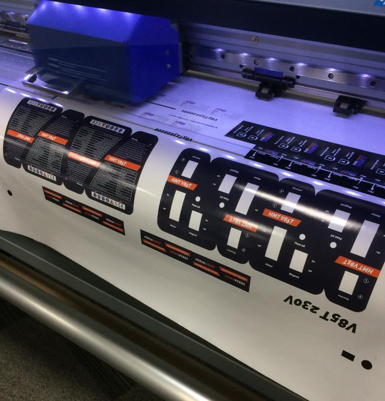 printing on a roland truevis
