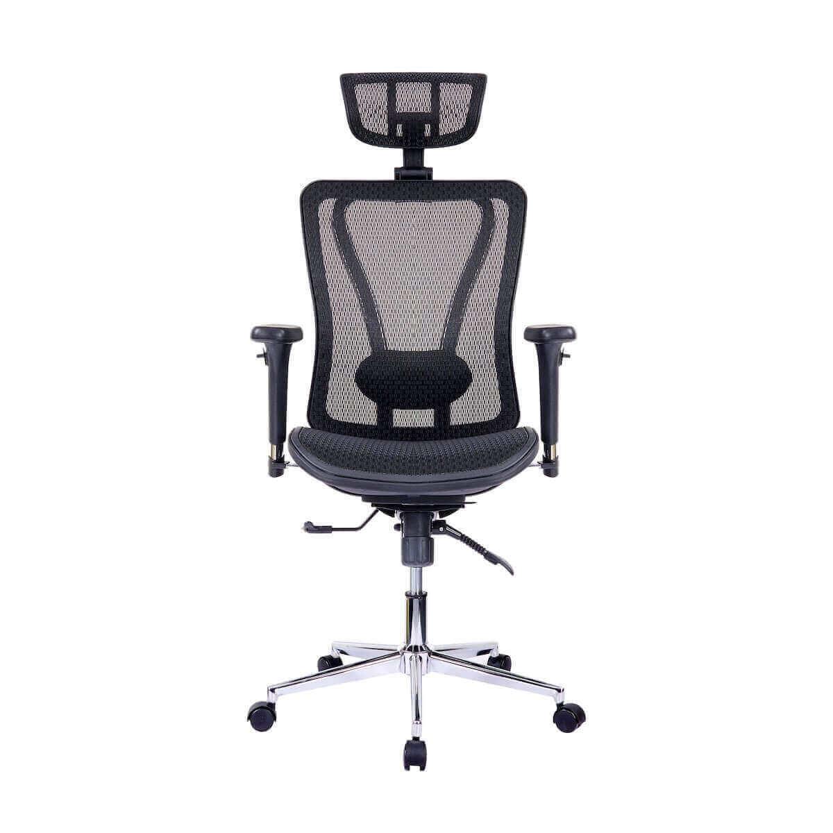 Techni Mobili High Back Executive Mesh Office Chair with Arms, Headrest and  Lumbar Support, Black RTA-1009-BK