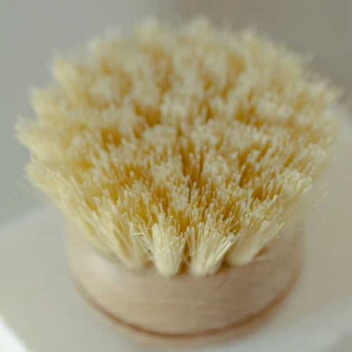 https://cdn.shopify.com/s/files/1/0340/2642/2405/products/agave_teak_dish_brush_No_Tox_Life064_1024x1024_2x_a79bace5-b598-4261-906c-aae892a7780f_500x.webp?v=1647388080