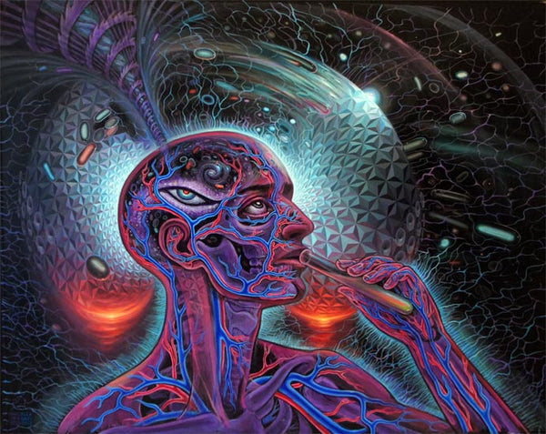 alex grey psychedelic artwork - dmt experience art