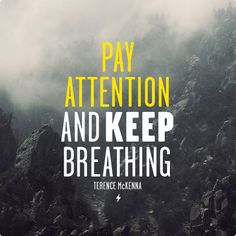 Terrence Mckenna quote meme - pay attention and keep breathing