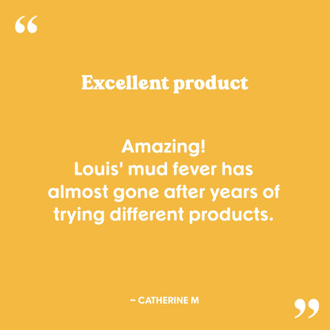 Catherine M Mud & Rain testimonial: Amazing! Louis' mud fever has almost gone after years of trying different products.