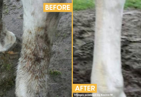 Mud Fever before and after photos from Karina M