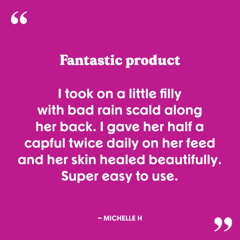 Michelle H said Mud & Rain is a "Fantastic product. Super easy to use".