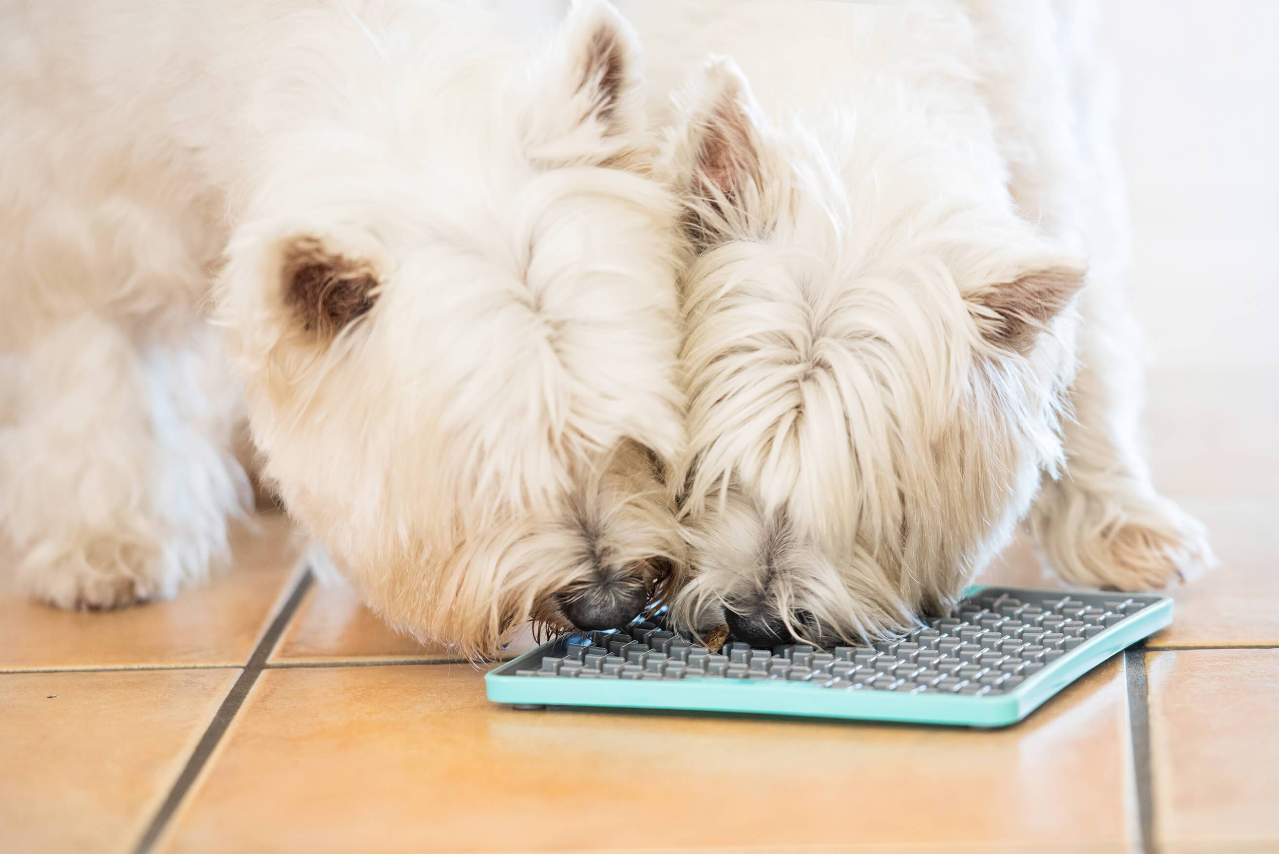 Lickimat Slomo, Dog Slow Feeding Lick Mat, Boredom Anxiety Reducer,  Turquoise