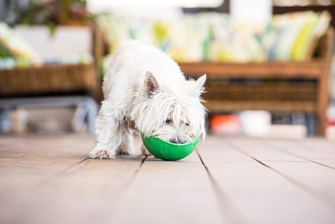 LickiMat Wobble Fun Boredom Buster Slow Feeder Anxiety Reliever