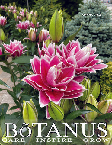 Botanus Spring 2024 catalogue
