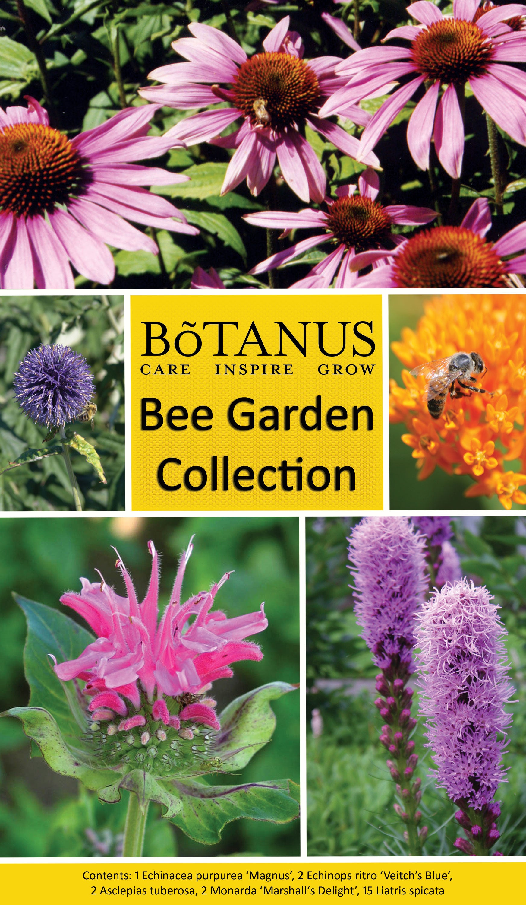 Bee Garden Collection Botanus