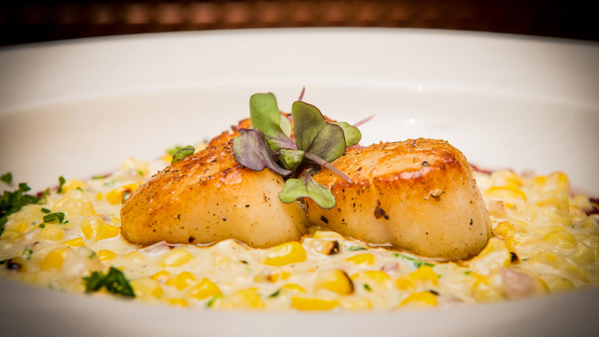 Seared Scallops with Corn Purée