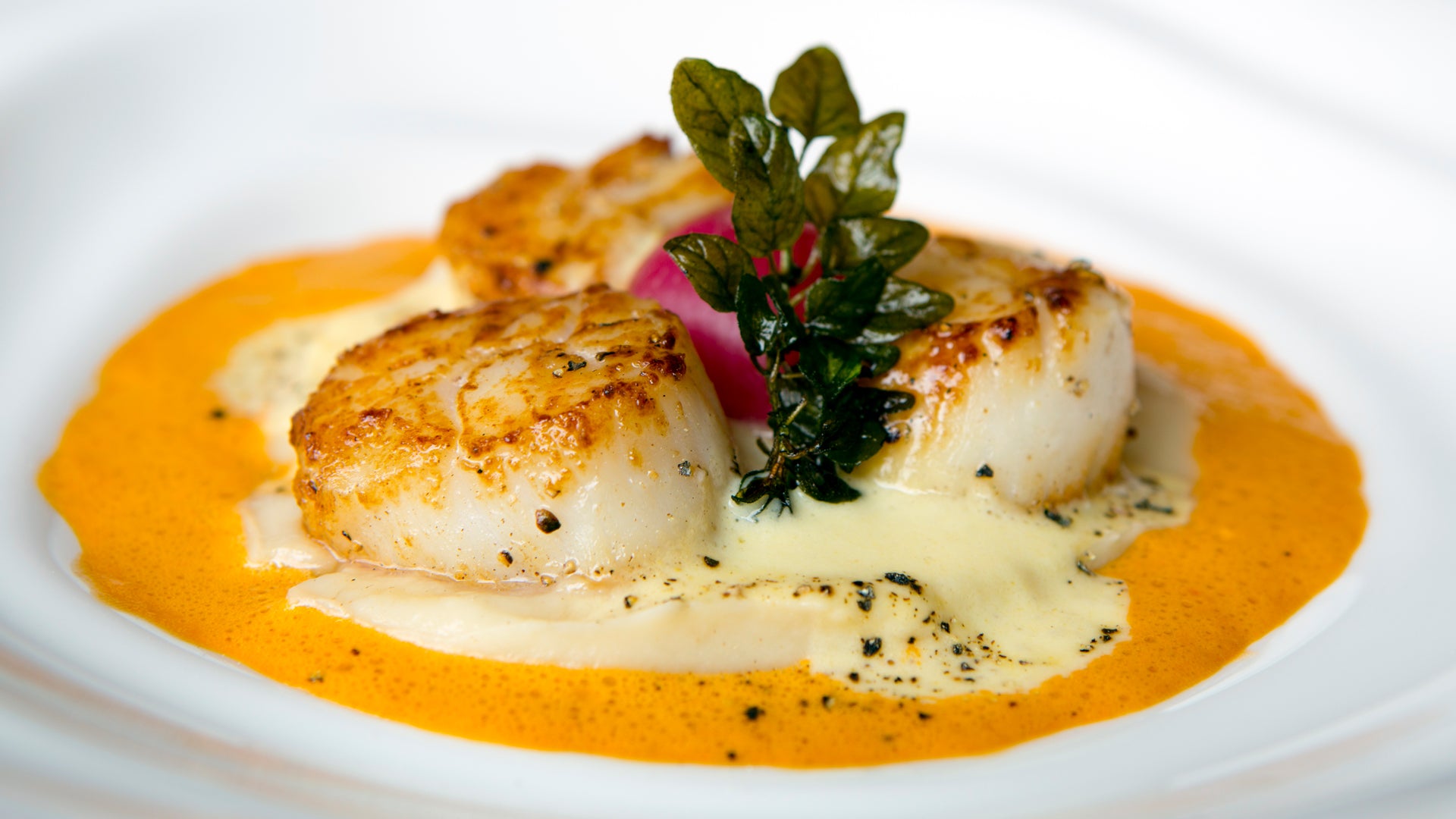 Seared Scallops With Hot Sauce Beurre Blanc