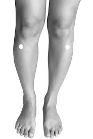 Three mile acupressure point show on the leg