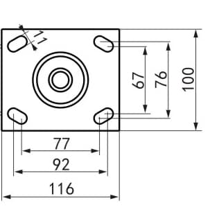 Plate Size