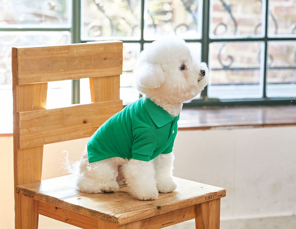 [BENNYS] Classic Collar T-Shirt -#Green-HOLIHOLIC.COM