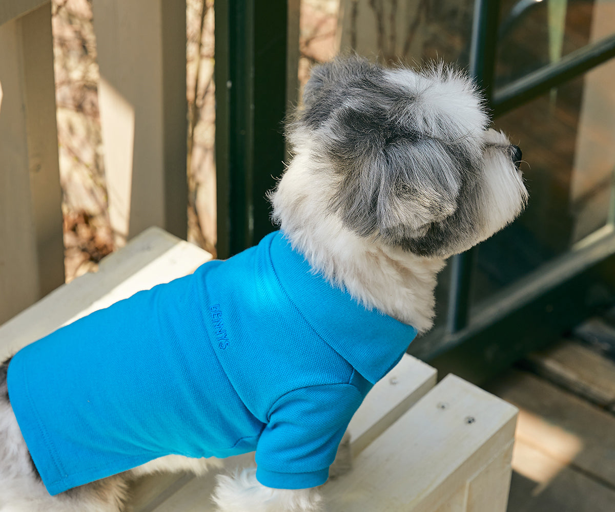 [BENNYS] Classic Collar T-Shirt -#Blue  -holiholic.com