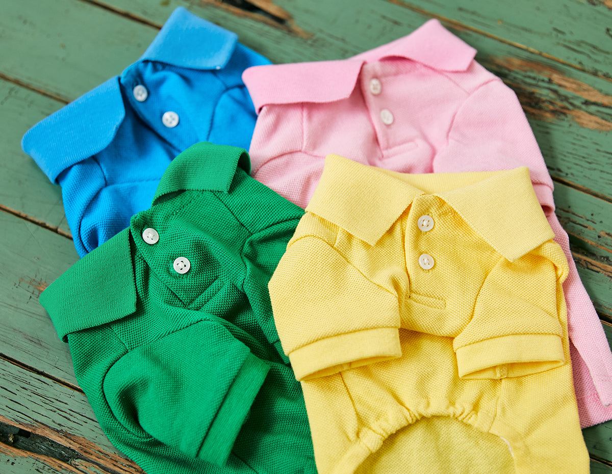 [BENNYS] Classic Collar T-Shirt -#Green-HOLIHOLIC.COM