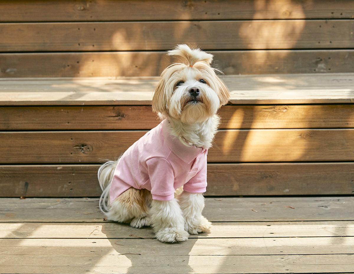 [BENNYS] Classic Collar T-Shirt -#Pink-holiholic.com