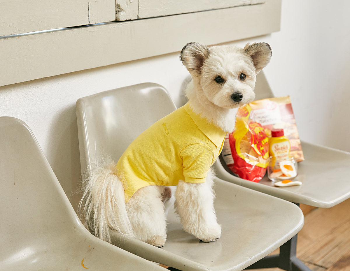 [BENNYS] Classic Collar T-Shirt -#Yellow-holiholic.com