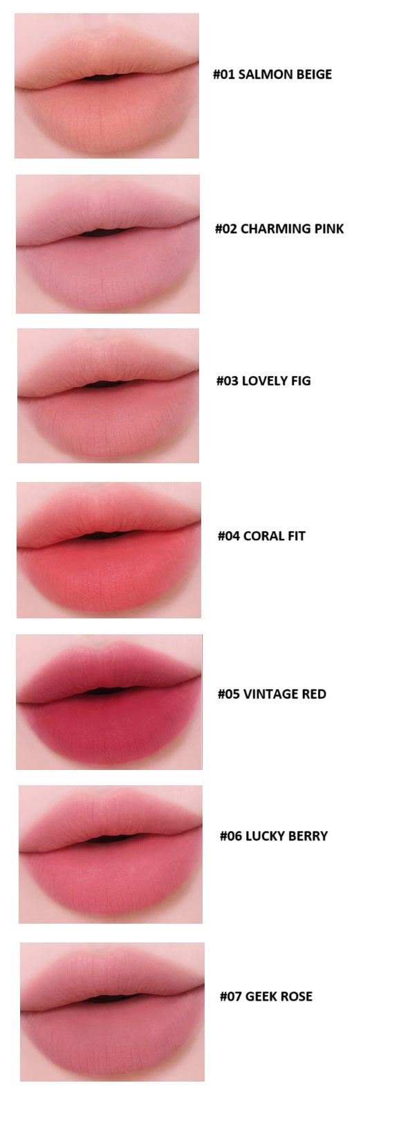 [Colorgram] Nude Blur Tint-Holiholic