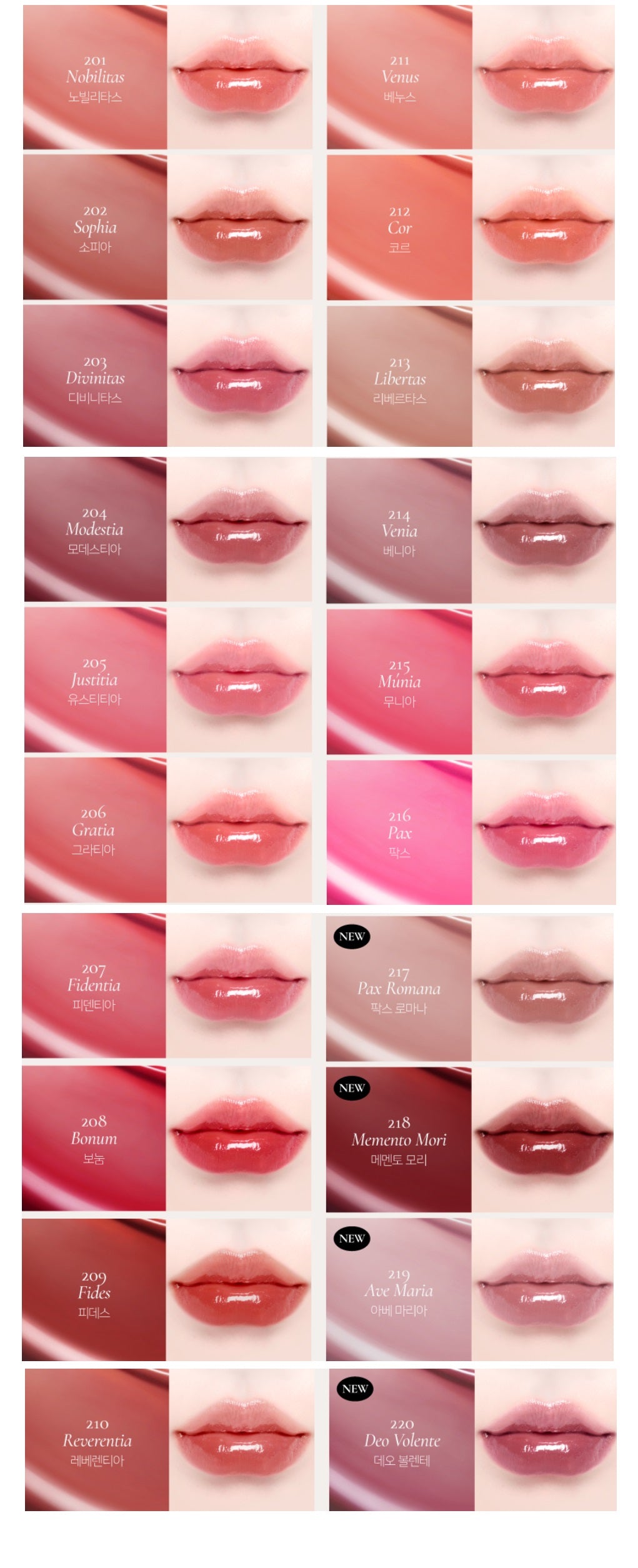 [Dinto] Blur-Glowy Lip Tint-Holiholic