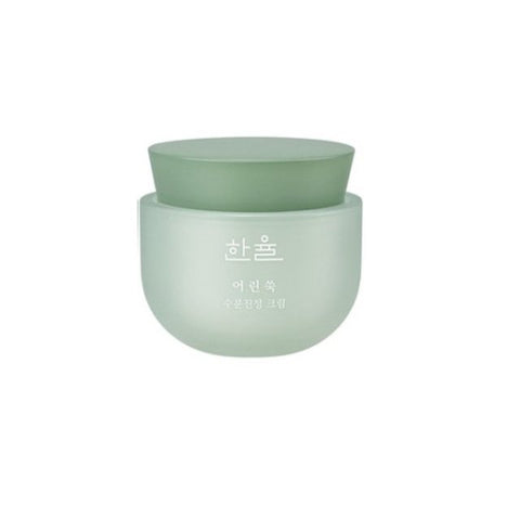 [HANYUL] Pure Artemisia Watery Calming Cream-Holiholic