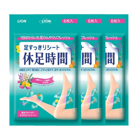 [KYUSOKU JIKAN] Cooling Leg Pad 18pcs-Holiholic