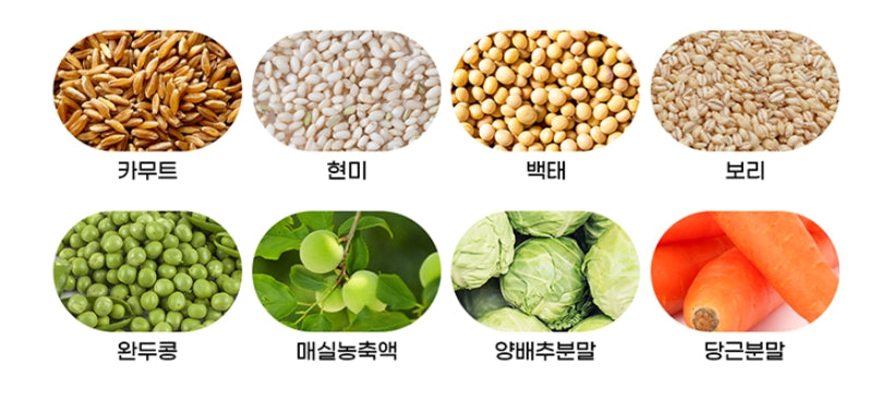 [LYASNU] LYA’s Beautiful Healthy Food Sprout Enzyme Plus-Holiholic