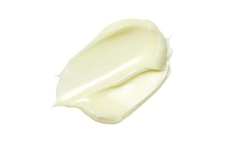 [Torriden] SOLID IN Ceramide Cream-Holiholic