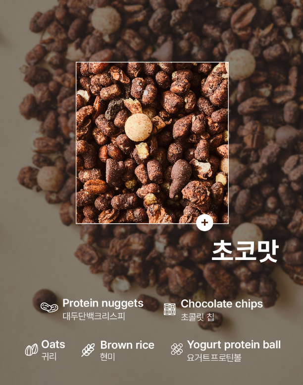 [VIVLIV] Protein Cereal Choco-Holiholic