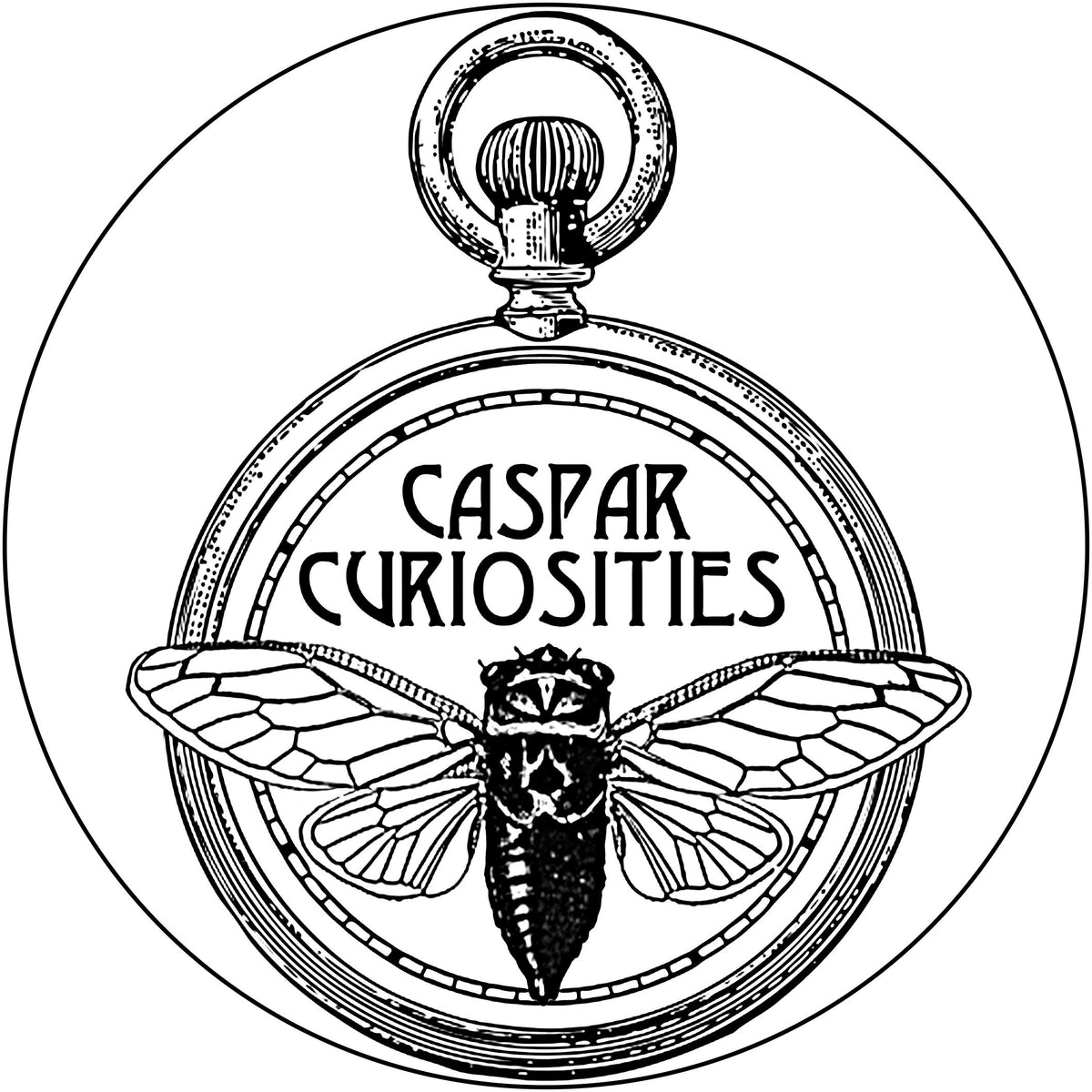 Caspar Curiosities