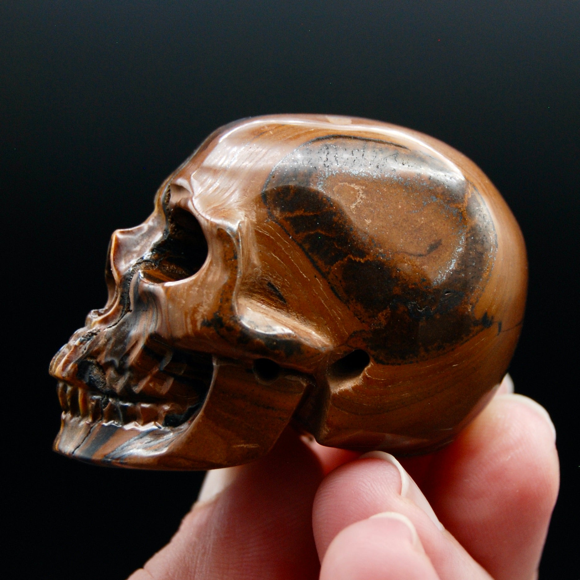 2in Tiger's Iron Carved Crystal Skull, Realistic Tiger's Eye